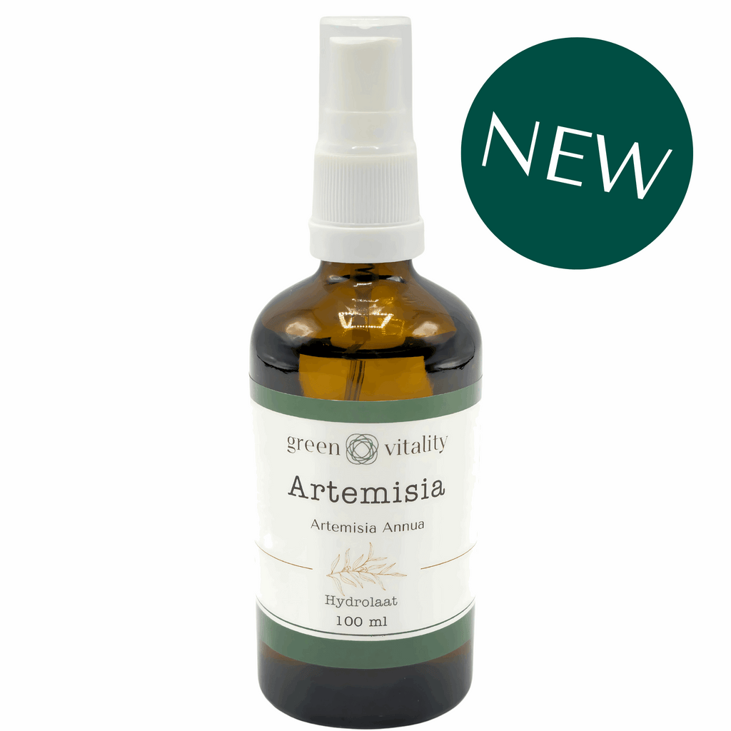 NIEUW Artemisia Annua Hydrolaat - Green Vitality