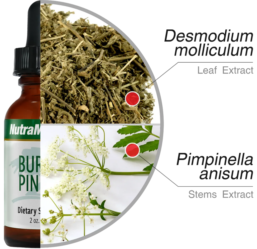 Green Vitality Burbur-Pinella Nutramedix Ingrediënten