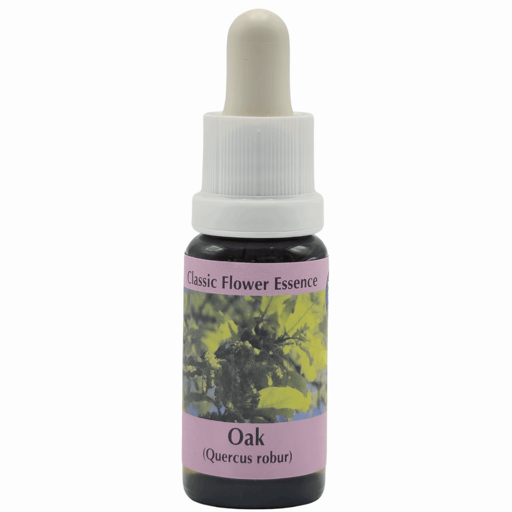 Oak Essence (Eik) - Green Vitality